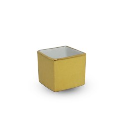 scatola-gialla